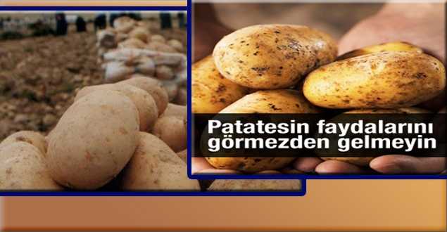 Şifa Deposu Patates