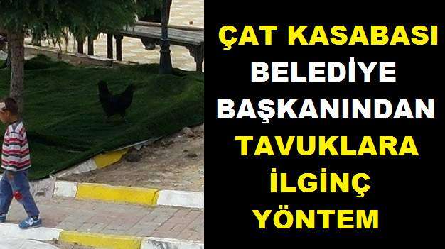 Çat’ta Tavuklar İçin İlginç Çözüm