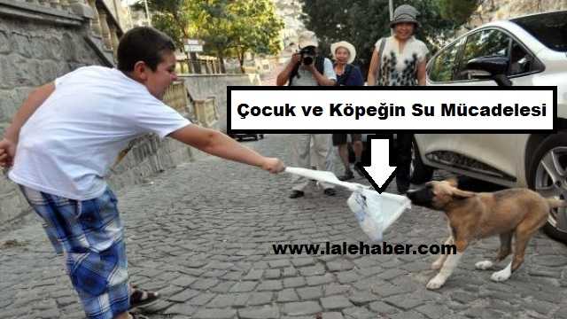 Çocuk ve Köpeğin Su Mücadelesinin Galibi Köpek Oldu