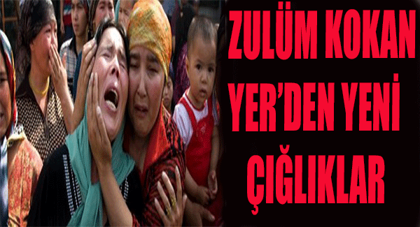 Çetin, Doğu Türkistan’da Yaşanan Zulme Bir Kere Daha Dikkat Çekmek Gerekiyor