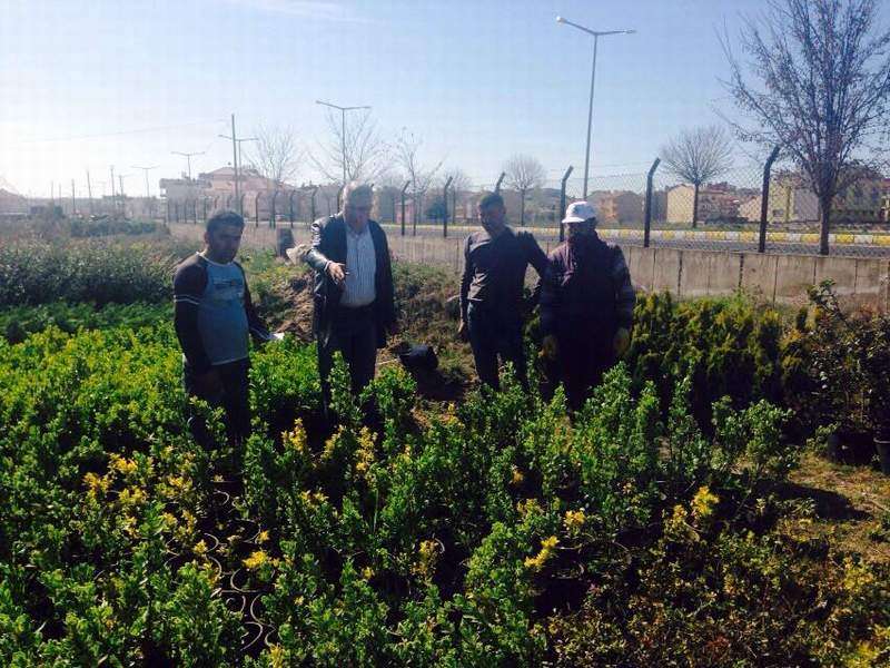 Gülşehir Belediyesi 12 Bin 100 Fidanı Toprakla Buluşturdu