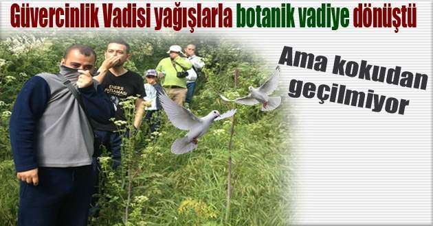 Güvercinlik Vadisi Kokudan Geçilmiyor