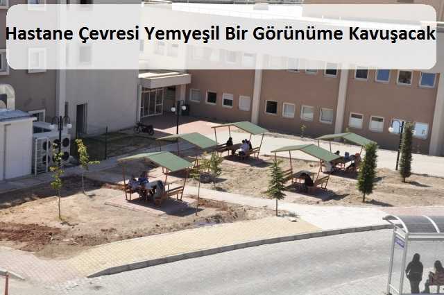 Hastane Çevresi Yemyeşil Bir Görünüme Kavuşacak