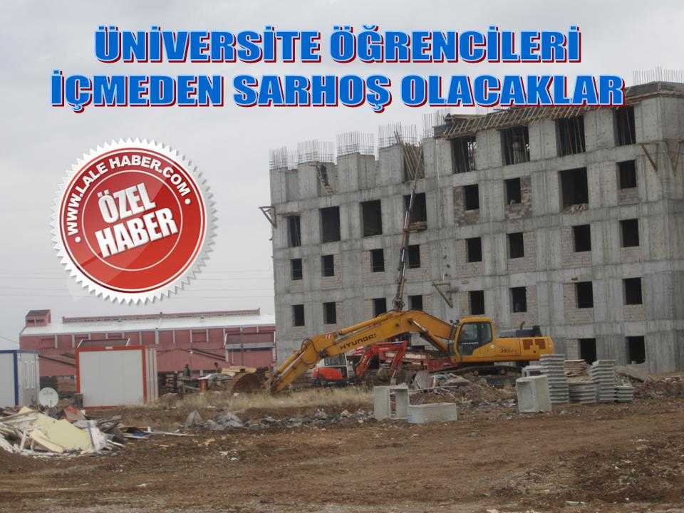 İçmeden Sarhoş Olacaklar  