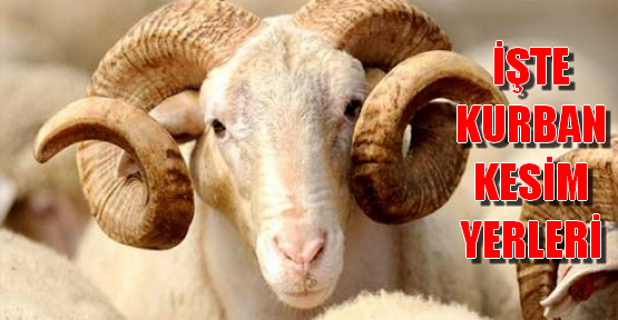 KURBAN KESİM ALANLARI BELİRLENDİ 