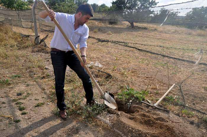 MHP Merkez İlçe Başkanı Kalfaoğlu, Şehitlerin Anısına Fidan Dikti