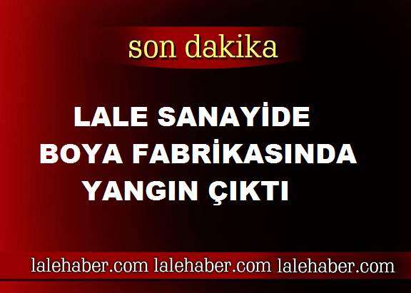 Nevşehir Lale Sanayi’de İş Yerinde Yangın Çıktı 