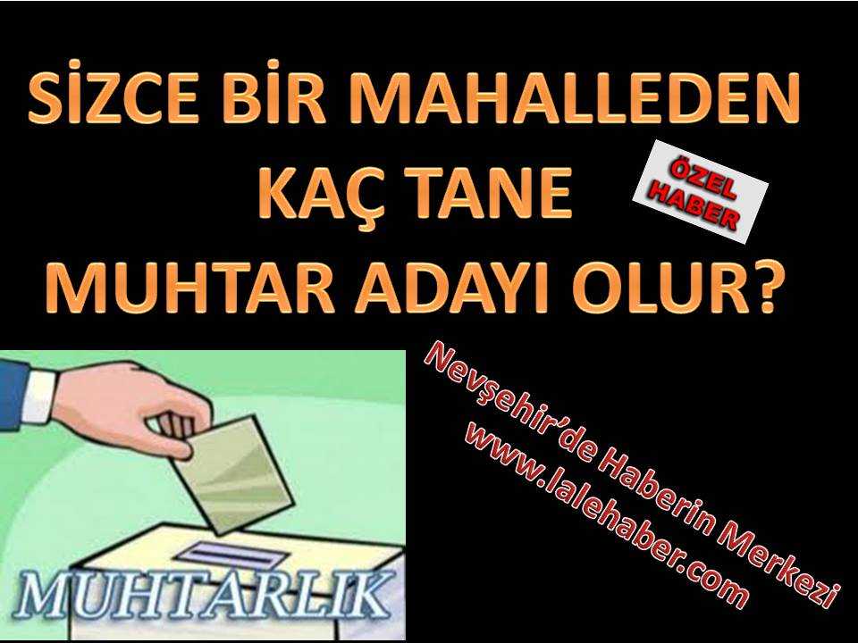 Sizce Bir Mahallede Kaç Muhtar Adayı Olabilir?