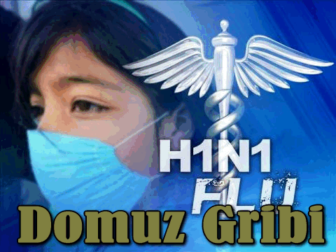 Nevşehir’de Domuz Gribinden Korkulacak Bir Durum Yok
