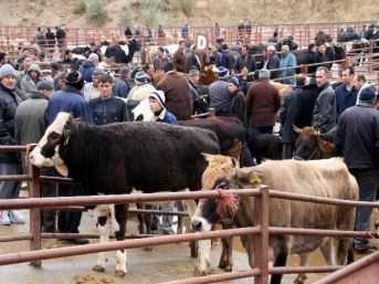 Hayvan Pazarı Hareketlendi