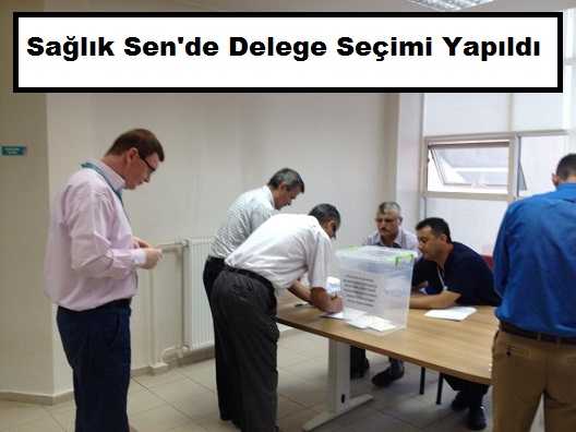 Sağlık-Sen’de Delege Seçimi Yapıldı