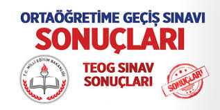 TEOG sonuçları açıklandı / TIKLA -ÖĞREN