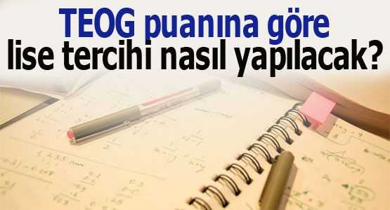TEOG Tercih Robotu - 2014