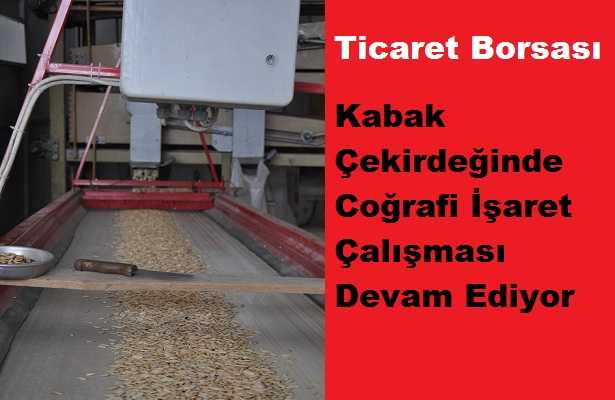 Kabak Çekirdeği İçin Coğrafi İşaret Çalışması Sürüyor