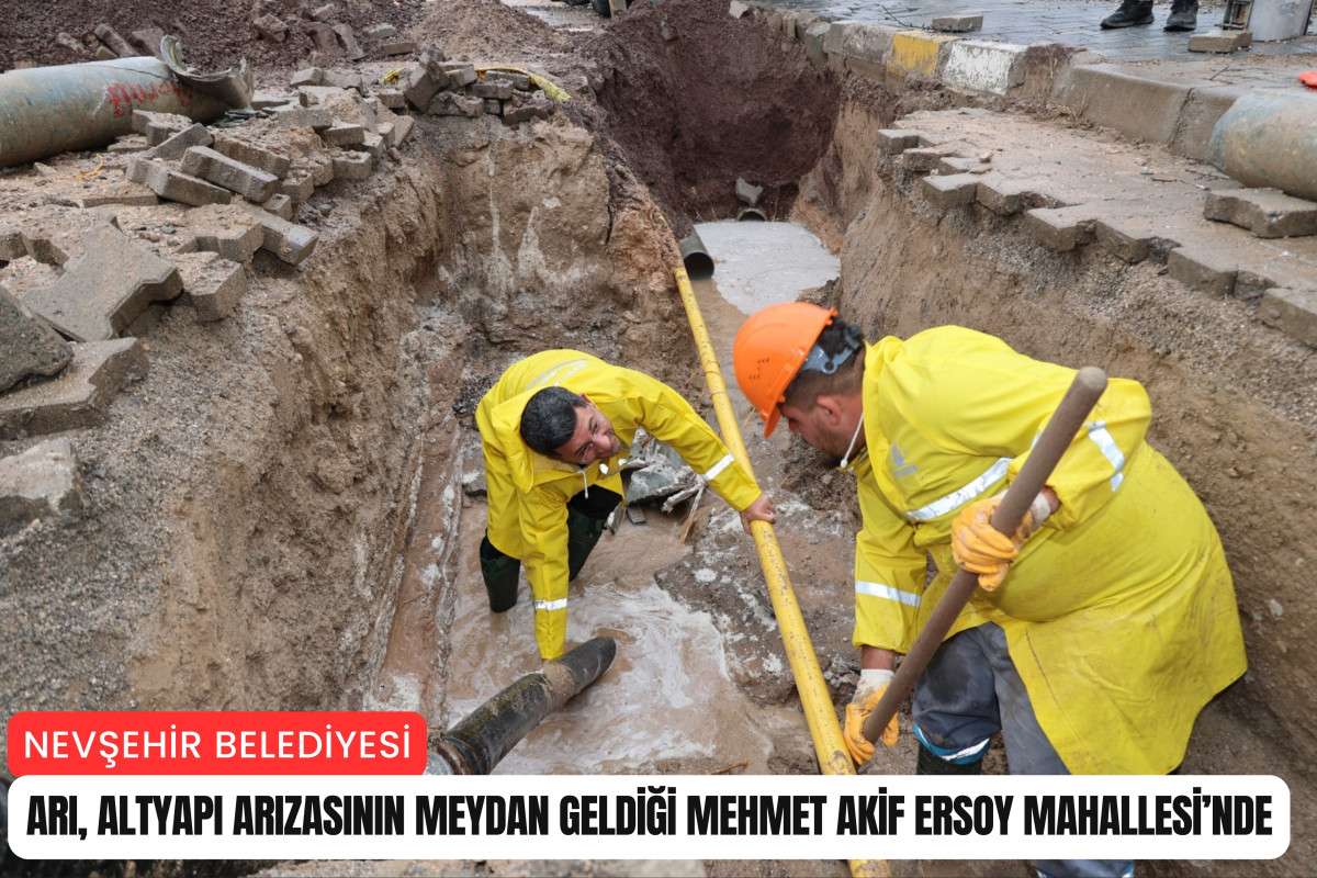 Arı, altyapı arızasının meydan geldiği Mehmet Akif Ersoy Mahallesi’nde