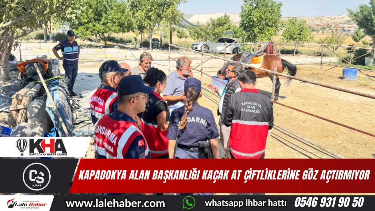Kapadokya Alan Başkanlığı, kaçak at çiftliklerine göz açtırmıyor