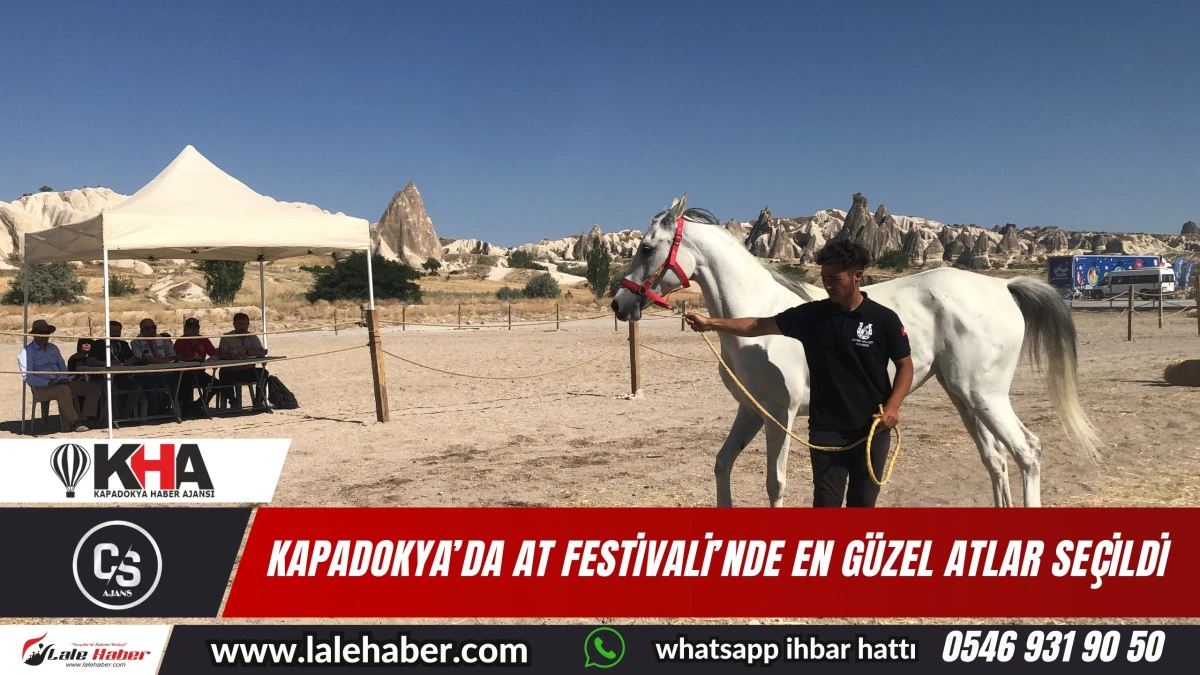 Kapadokya At Festivali’nde en güzel atlar seçildi