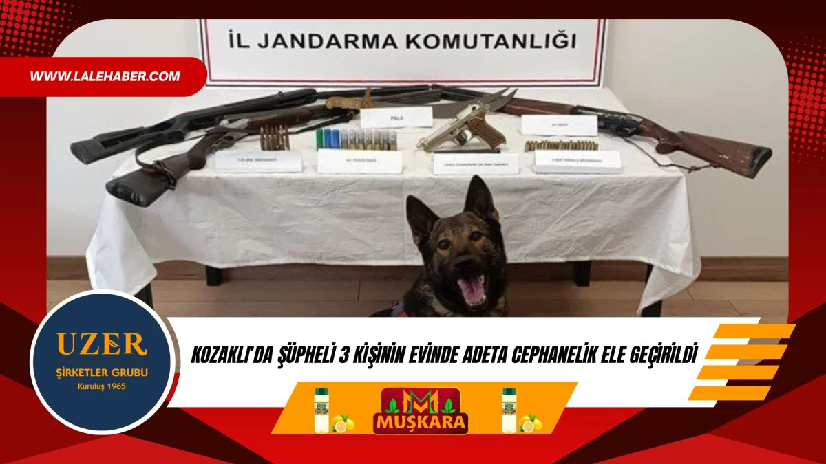 Kozaklı'da şüpheli 3 kişinin evinde çok sayıda silah geçirildi