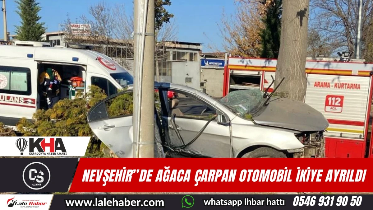 Nevşehir'de ağaca çarpan otomobil ikiye ayrıldı