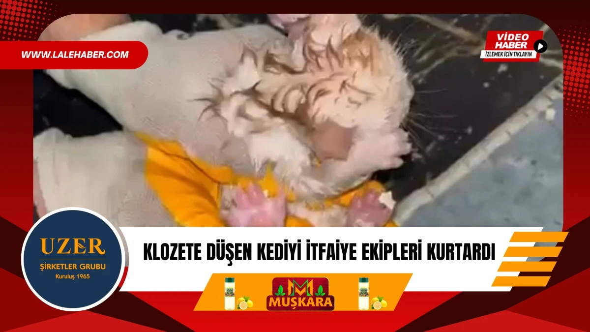 Nevşehir&rsquo;de klozete d&uuml;şen yavru kediyi itfaiye kurtardı