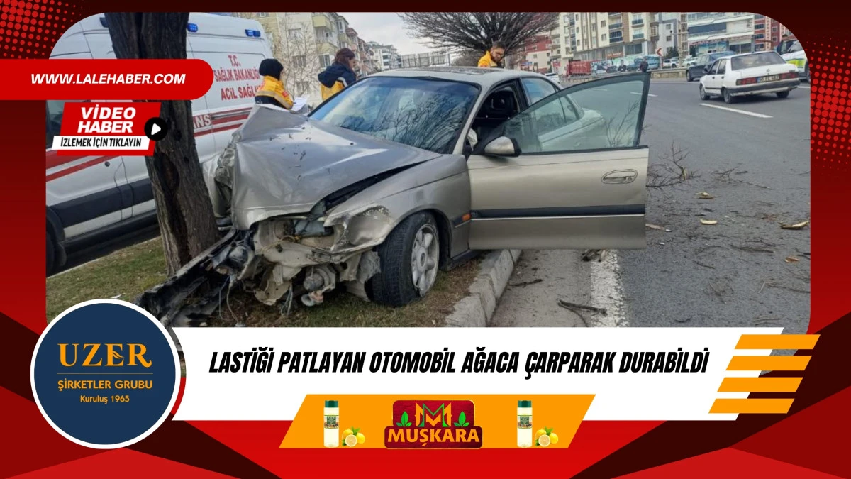 Nevşehir'de lastiği patlayan otomobil ağaca &ccedil;arparak durabildi