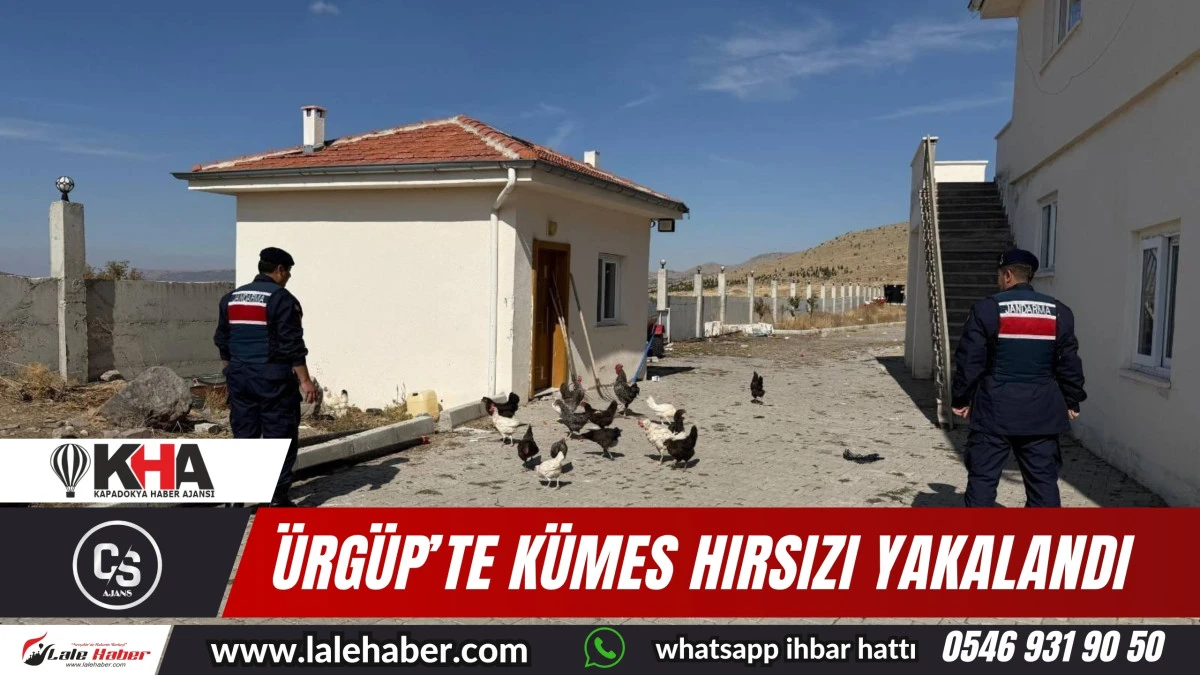 Ürgüp’te kümes hırsızı yakalandı