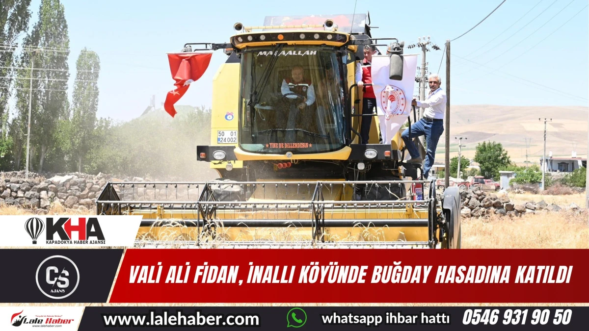 Vali Ali Fidan, İnallı köyünde buğday hasadına katıldı